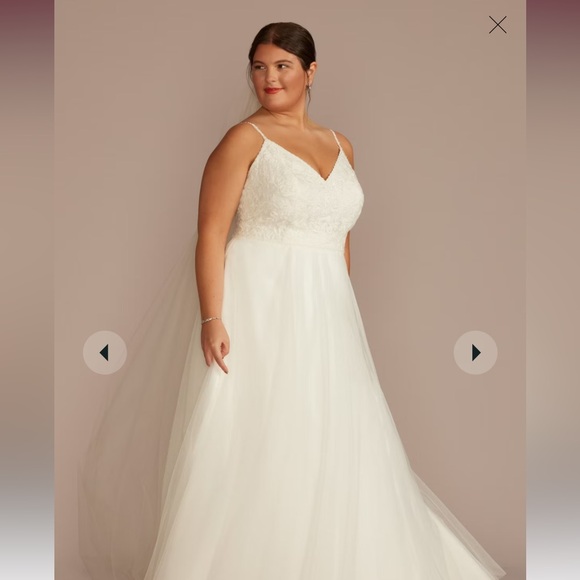 Plus size wedding dress from David's bridal